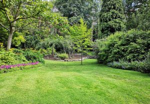 Optimiser l'expérience du jardin à Le Menil-Guyon