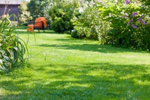 travaux jardin et paysage Le Menil-Guyon